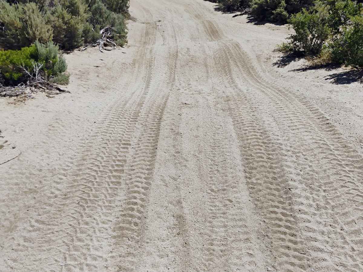 East Summit Loop photo 6