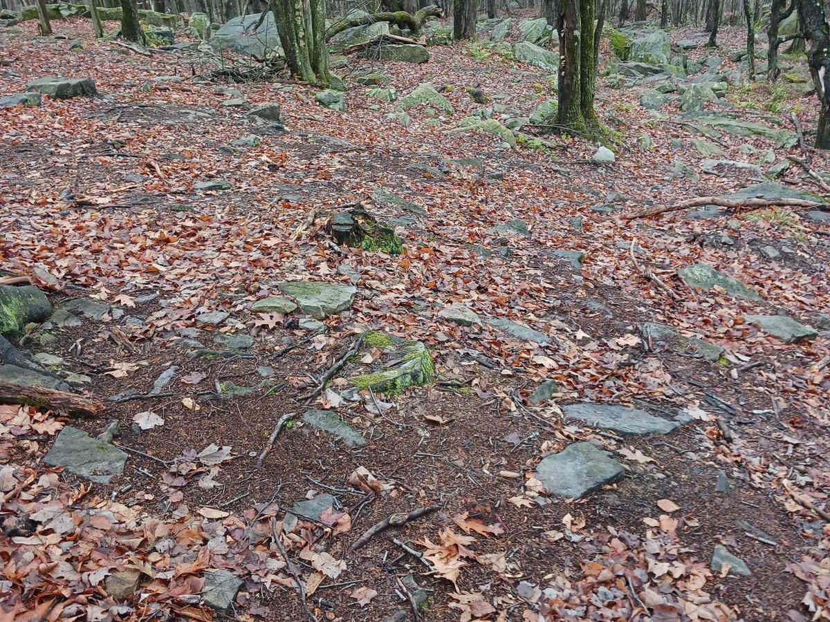 OHV 36 - Rock Run Recreation Area photo 4