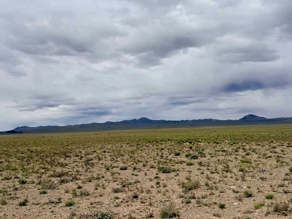Rye Patch Desert Road photo 4