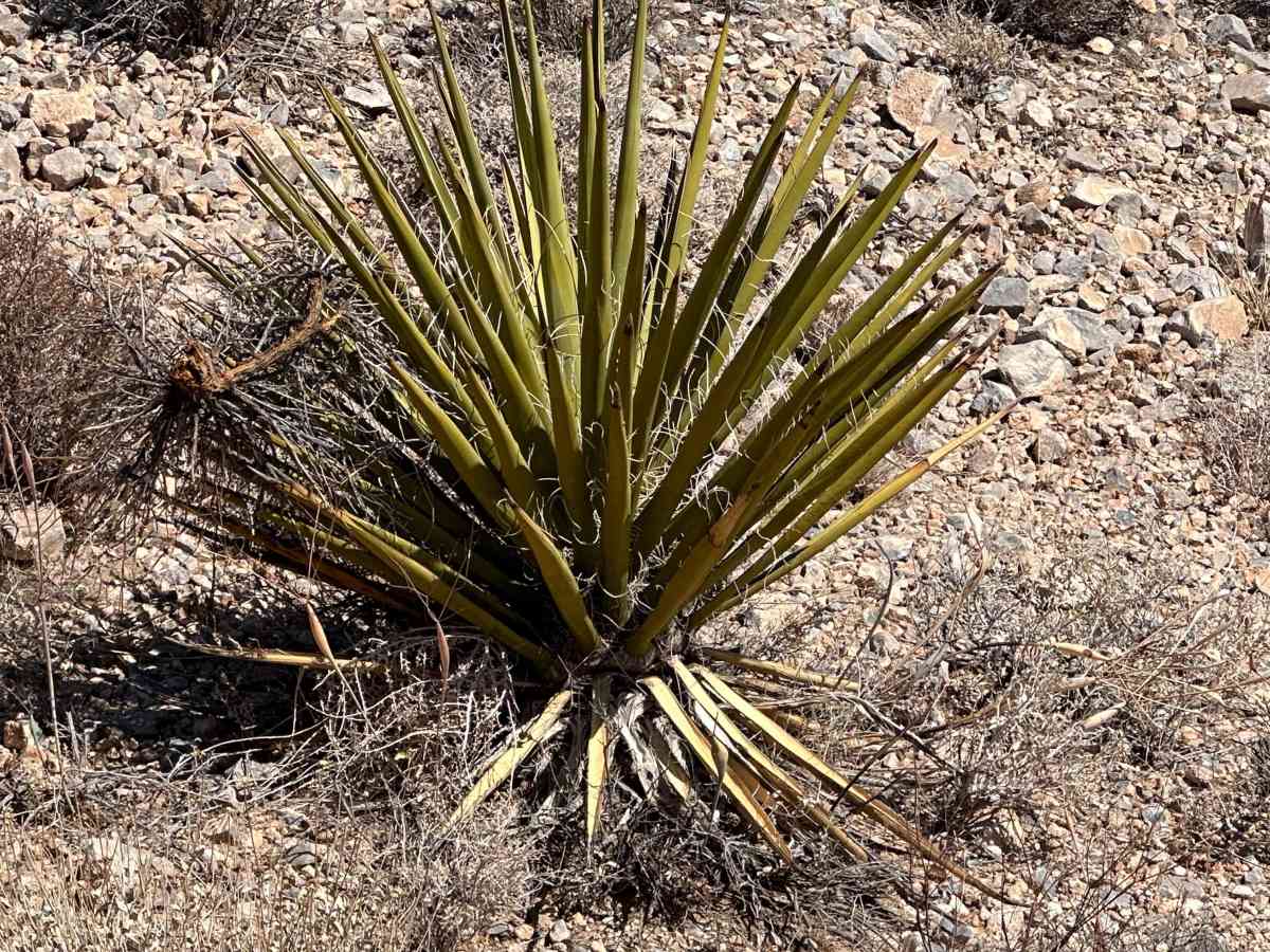 Haystack Trail photo 5