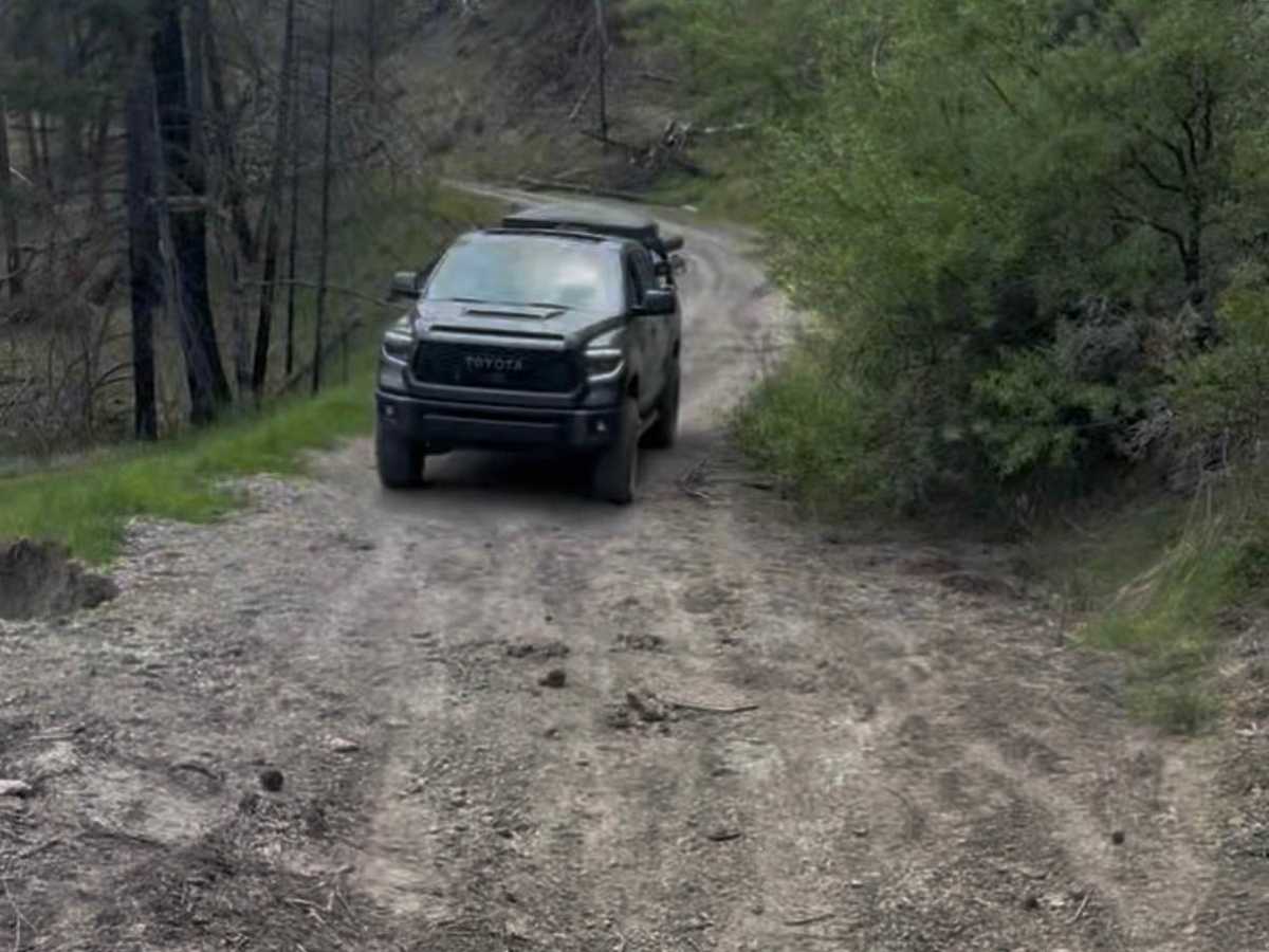 Pillsbury-Indian Dick Road trail photo