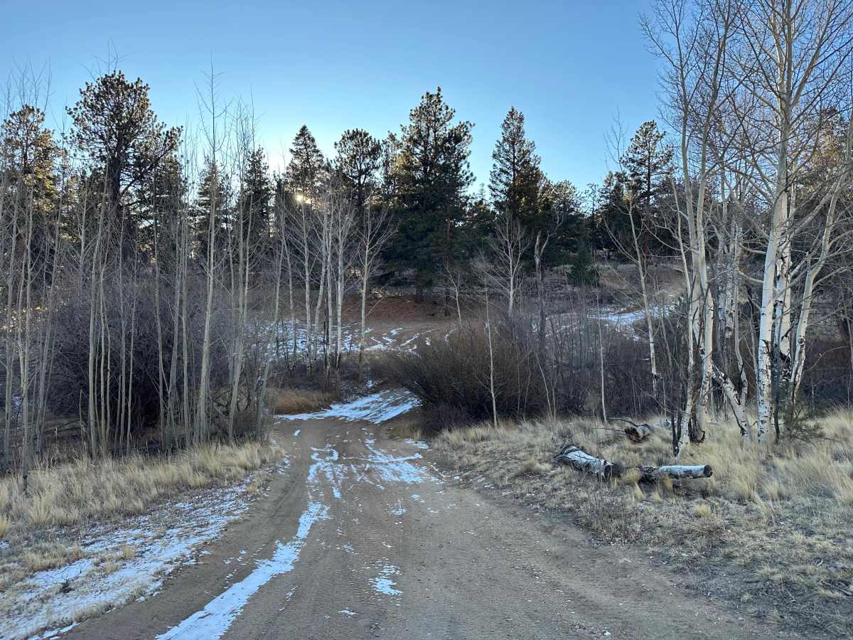 Little Fourmile Road - FS 373 photo 4