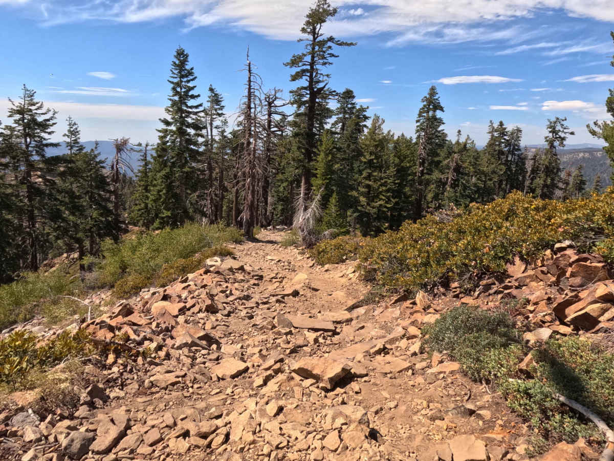 Star Lakes - FS 22E203 photo 4