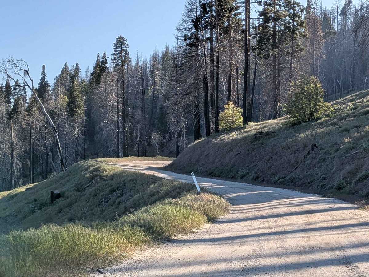 Rancheria Road North - FS 25S15 photo 3