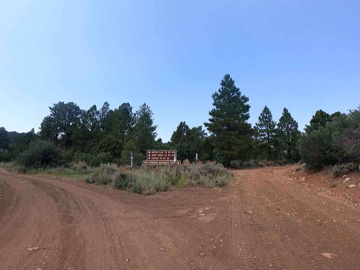 Shay Ridge photo 5