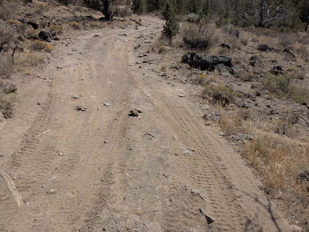 Cline Buttes Off Highway Vehicle Trail 49 photo 5