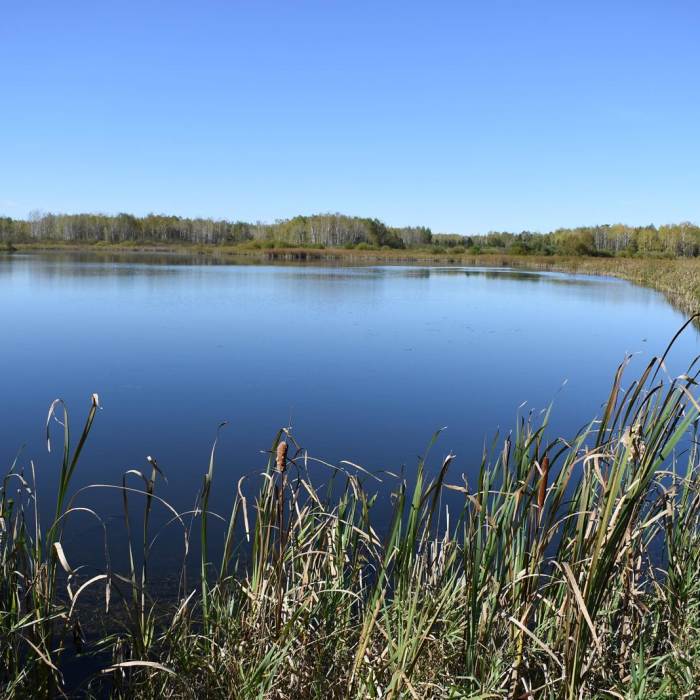 Near Oswald Viewing Platform via the North Country Trail Near Oswald Viewing Platform via the North Country Trail