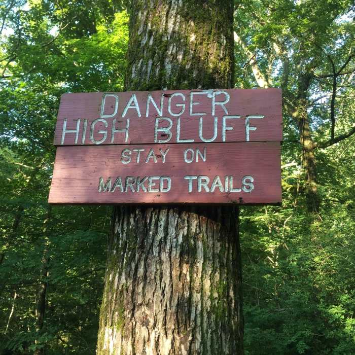 Near McKay Hollow Trail