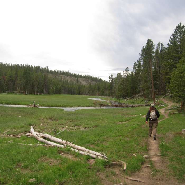 Near Mary Mountain-Nez Perce