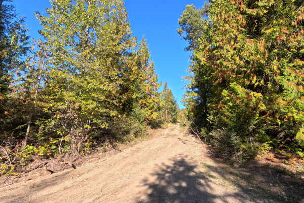 DNR Road E354003e