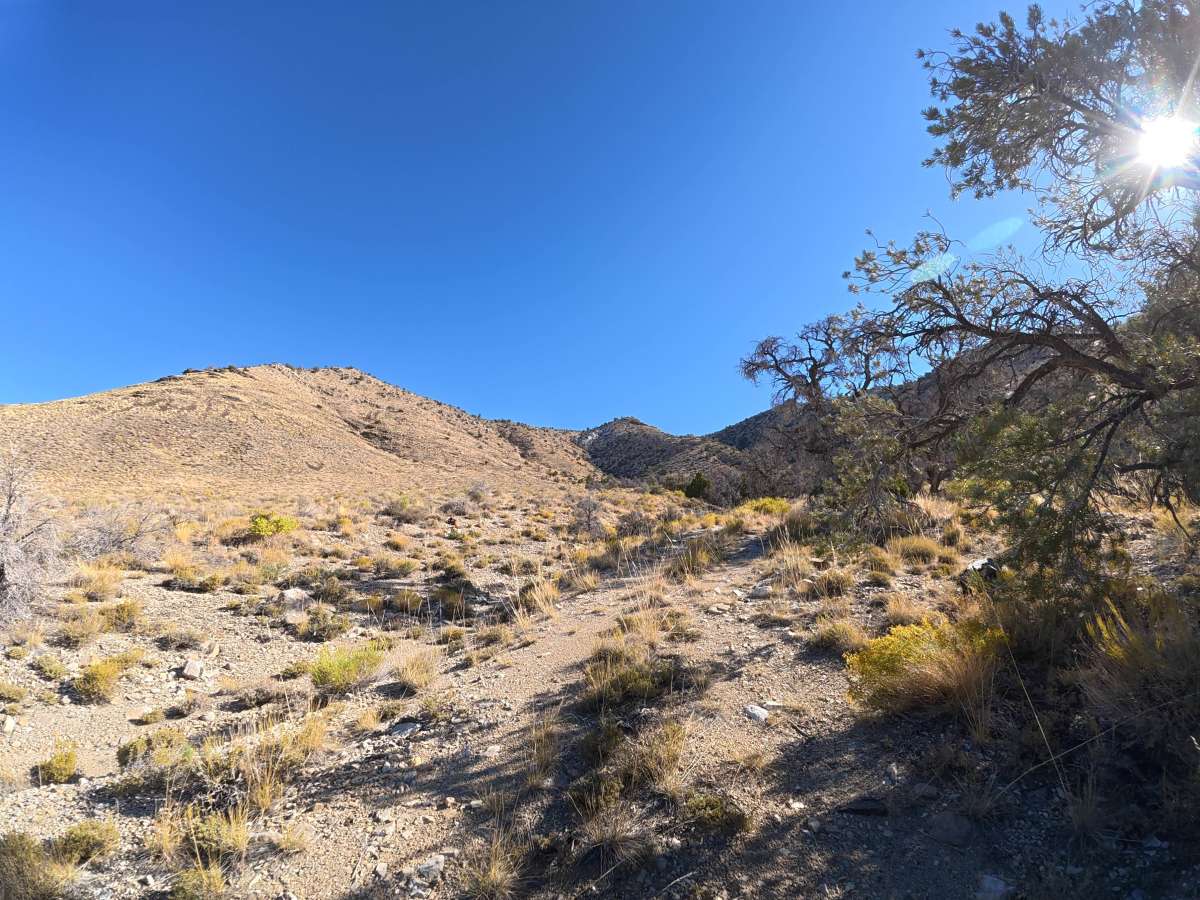 Cowhorn Hill photo 4