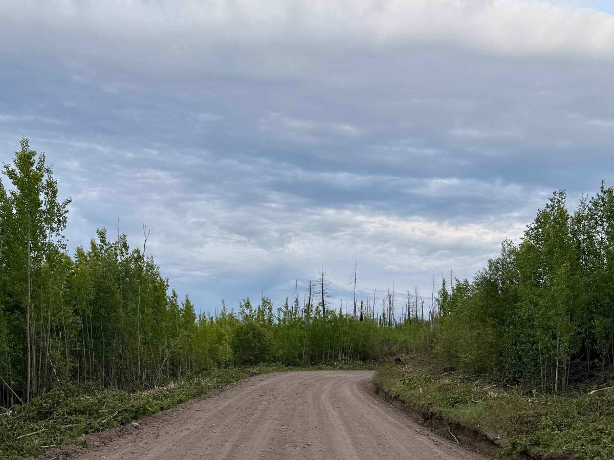 Blackwater Road photo 6
