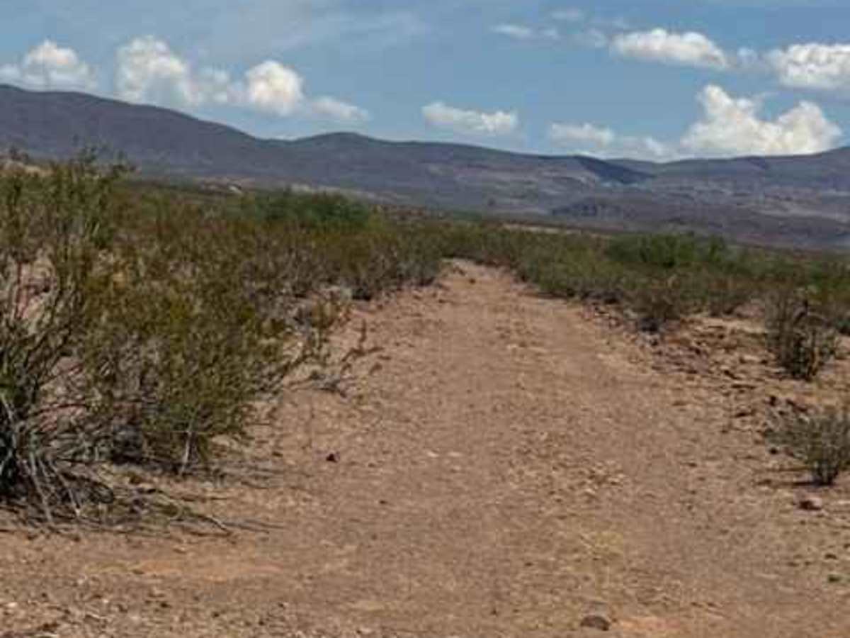BLM PE1122 photo 5
