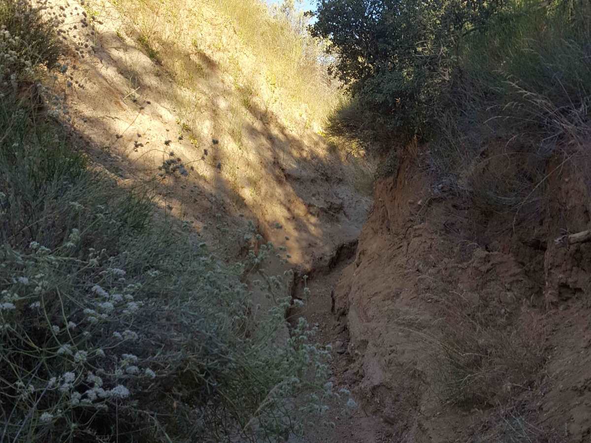 Trail 22 photo 6