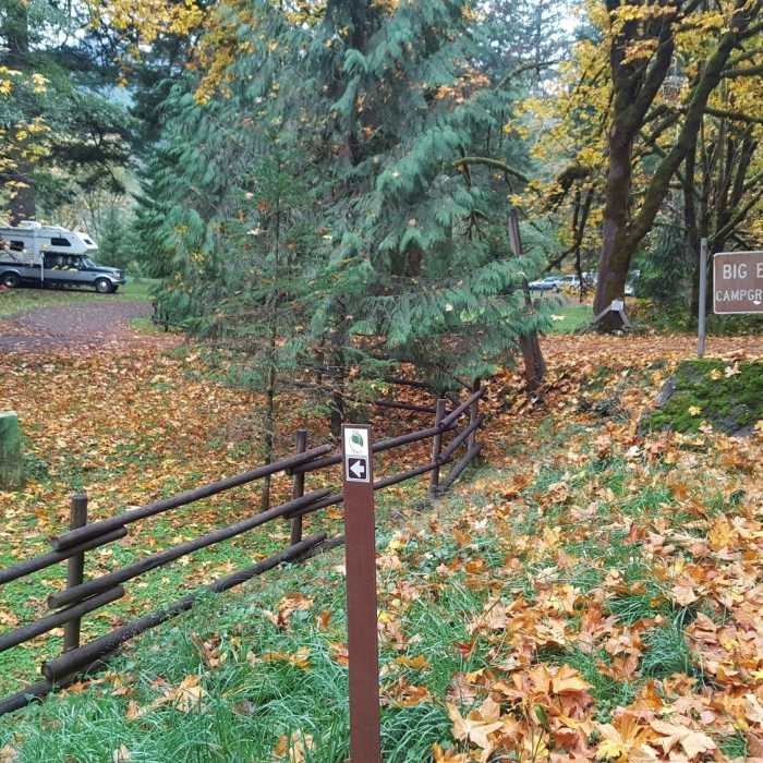 Near C2C Trail: Phase 1