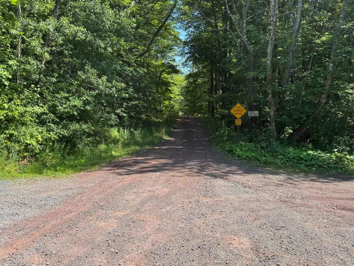 Bluebird Road trail photo