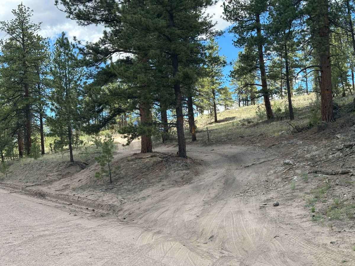 Egore Iv Road trail photo