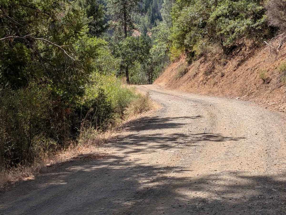 Bridge Gulch Road - FS 31N19  photo 3