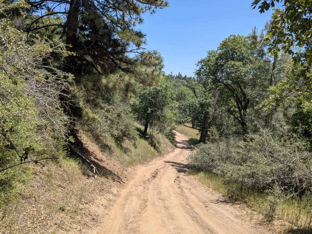 Davis Loop - FS 26S13/26S30 photo 4