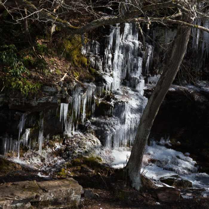 Near Shohola Falls Trail Near Shohola Falls Trail