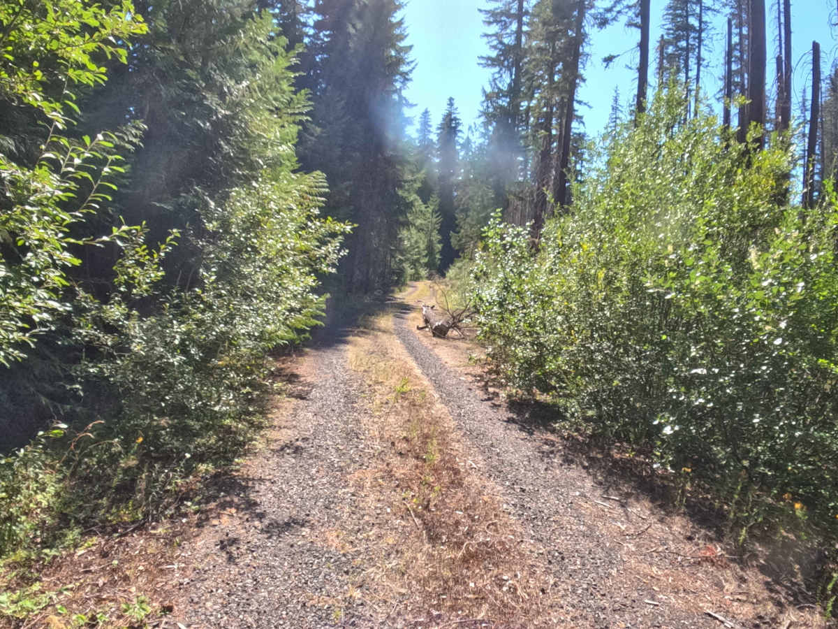 FS 2246753 photo 6