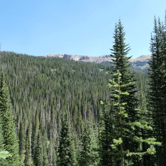 Near Crags Campground to American Lakes
