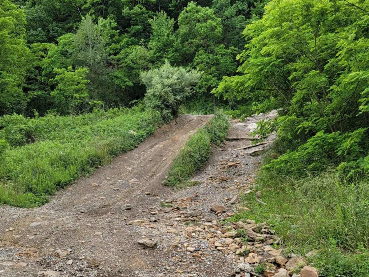 Trail G2 trail photo