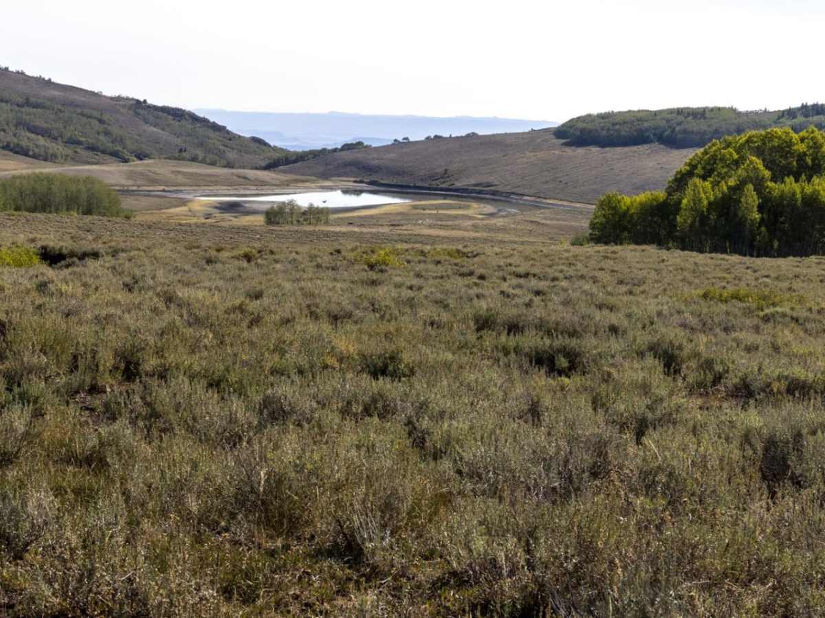 Sheep Valley Road trail photo