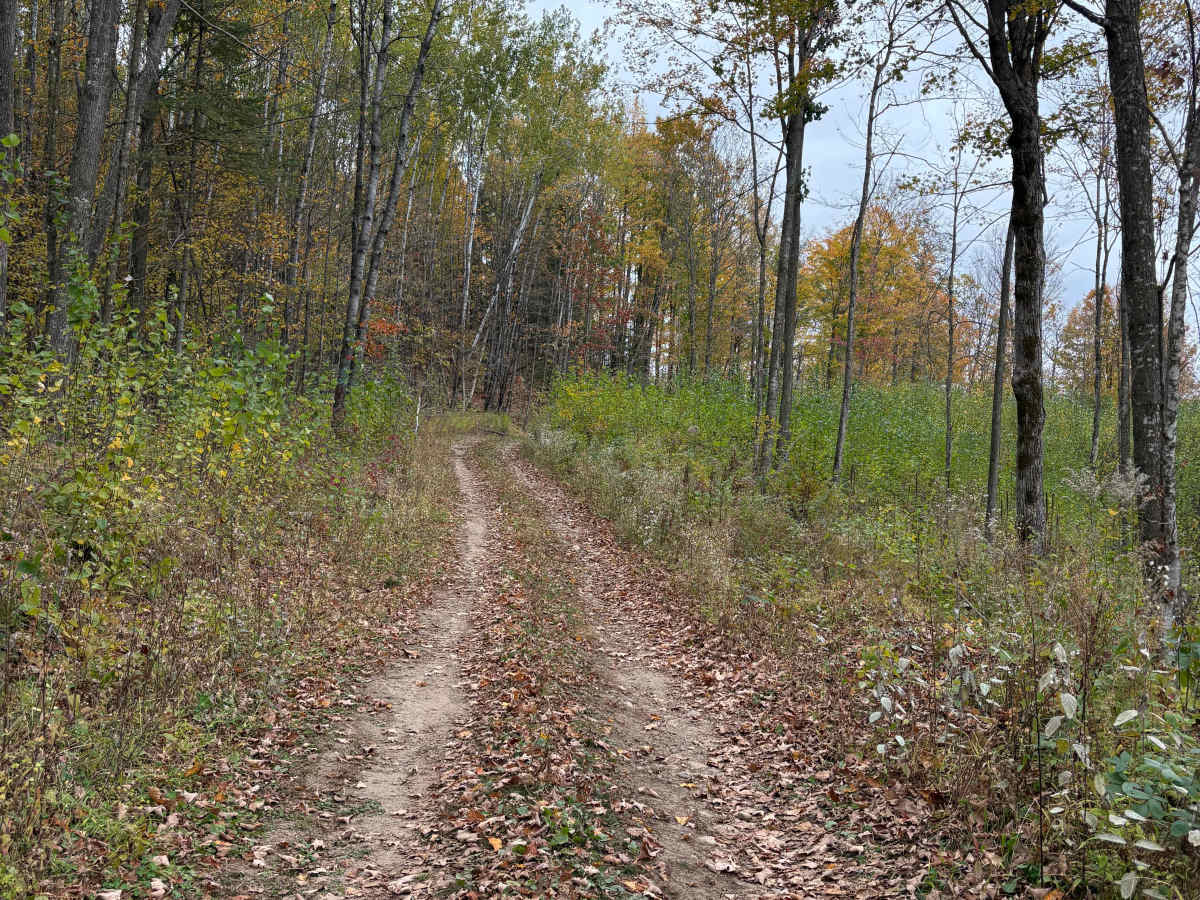 Hemlock North/South photo 2