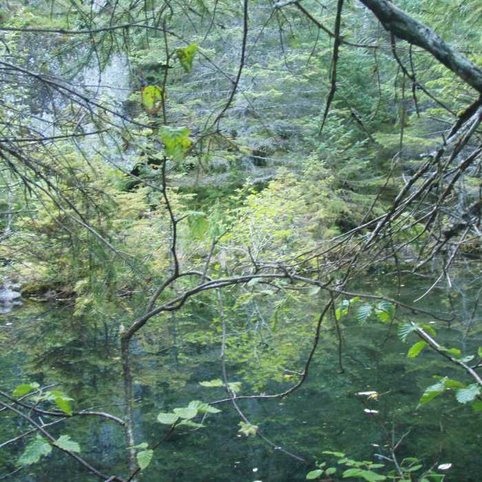 Near Tonsina Beach Hike