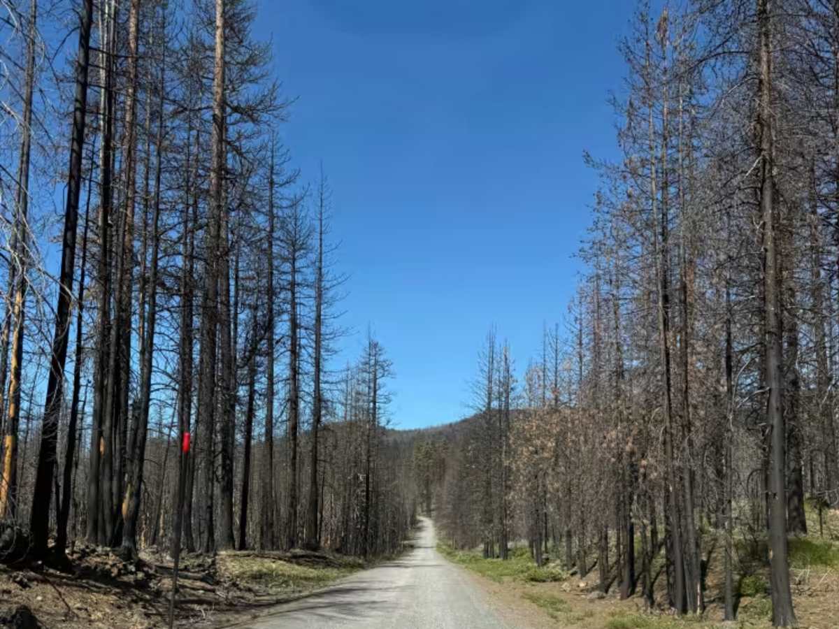 Siah Butte Road photo 3