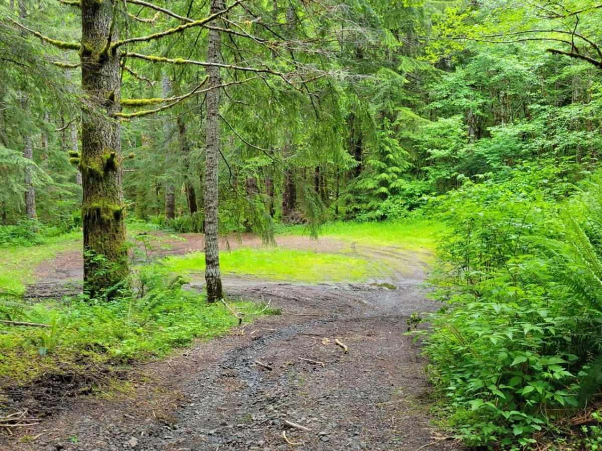 Kugel Creek photo 3