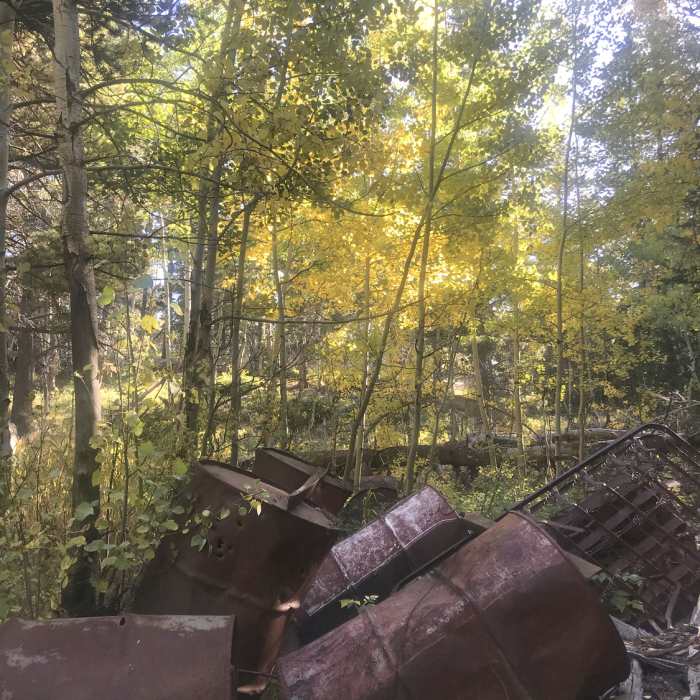 Near Coney Flats Road #507.1