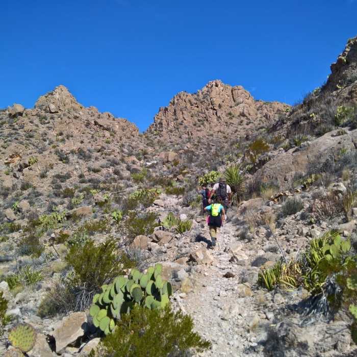 Near Lower Straw House Trail