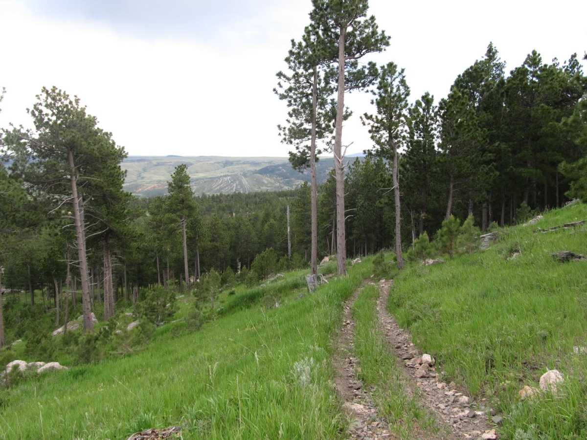 Sunset Ridge photo 5