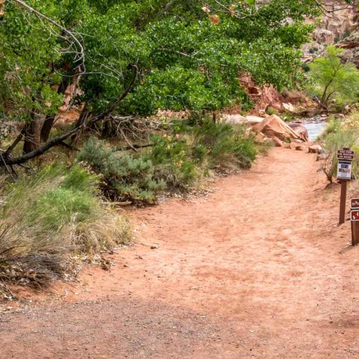 Near Navajo Knobs Out and Back