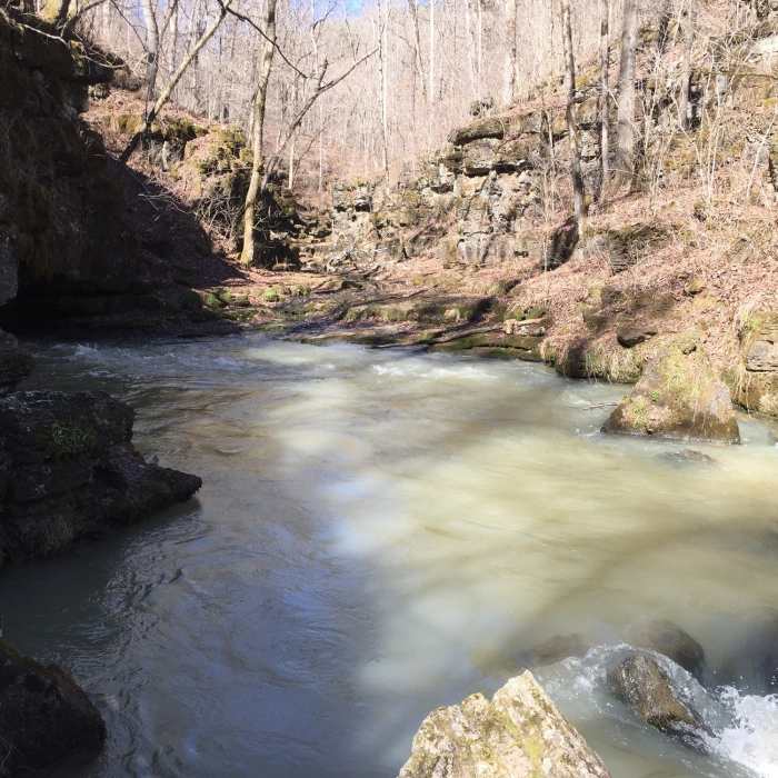Near Greer Spring Trail