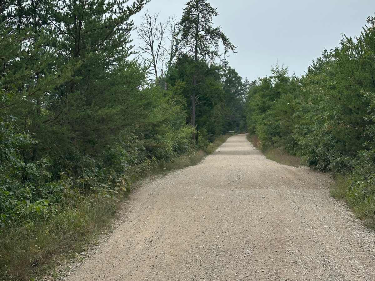 Doe Road photo 6
