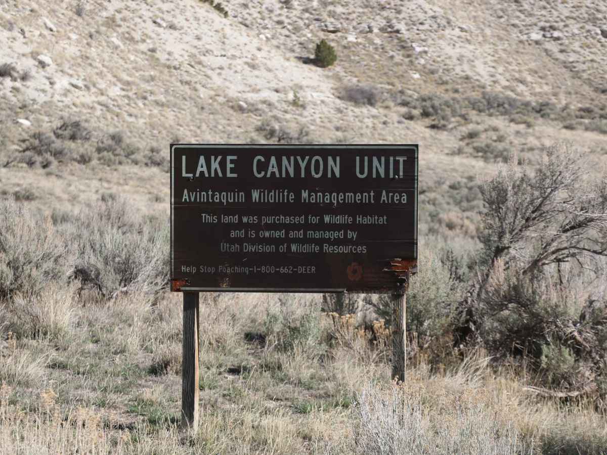Lake Canyon Road - 10700S photo 5