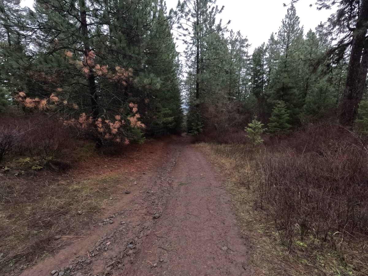 Potato Hill Connector photo 5