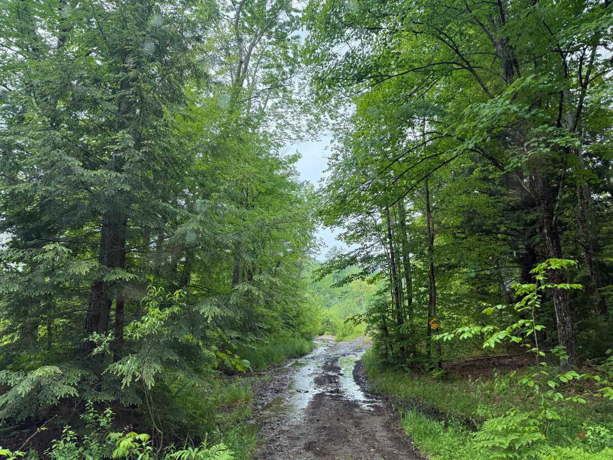Croyden Turnpike trail photo
