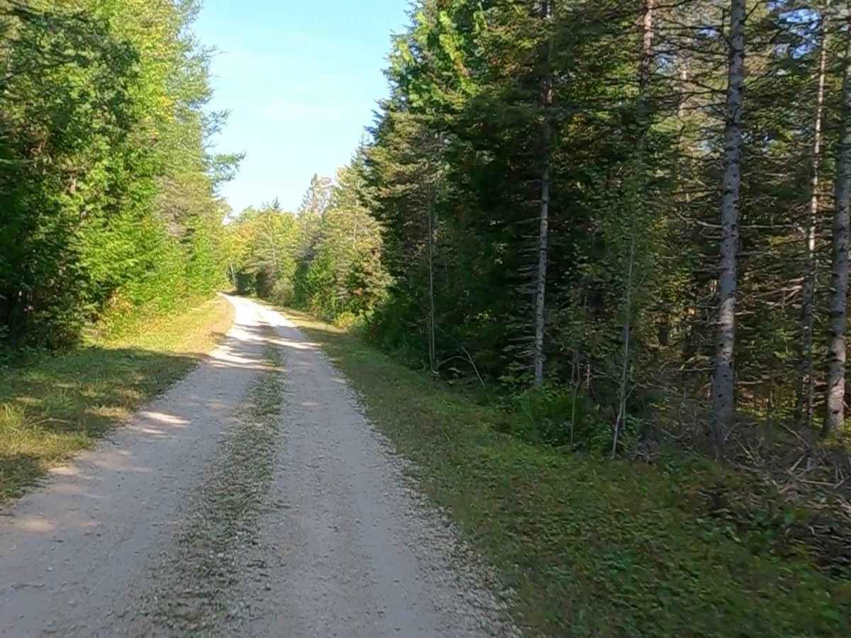 Cole (ORV Route A) - FS 3808 photo 2