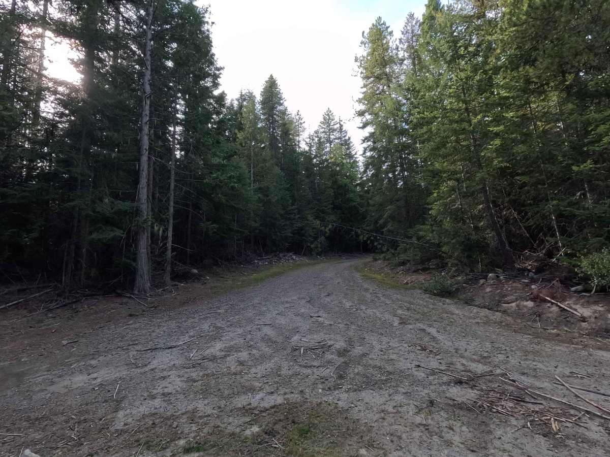 FS 3140456 trail photo