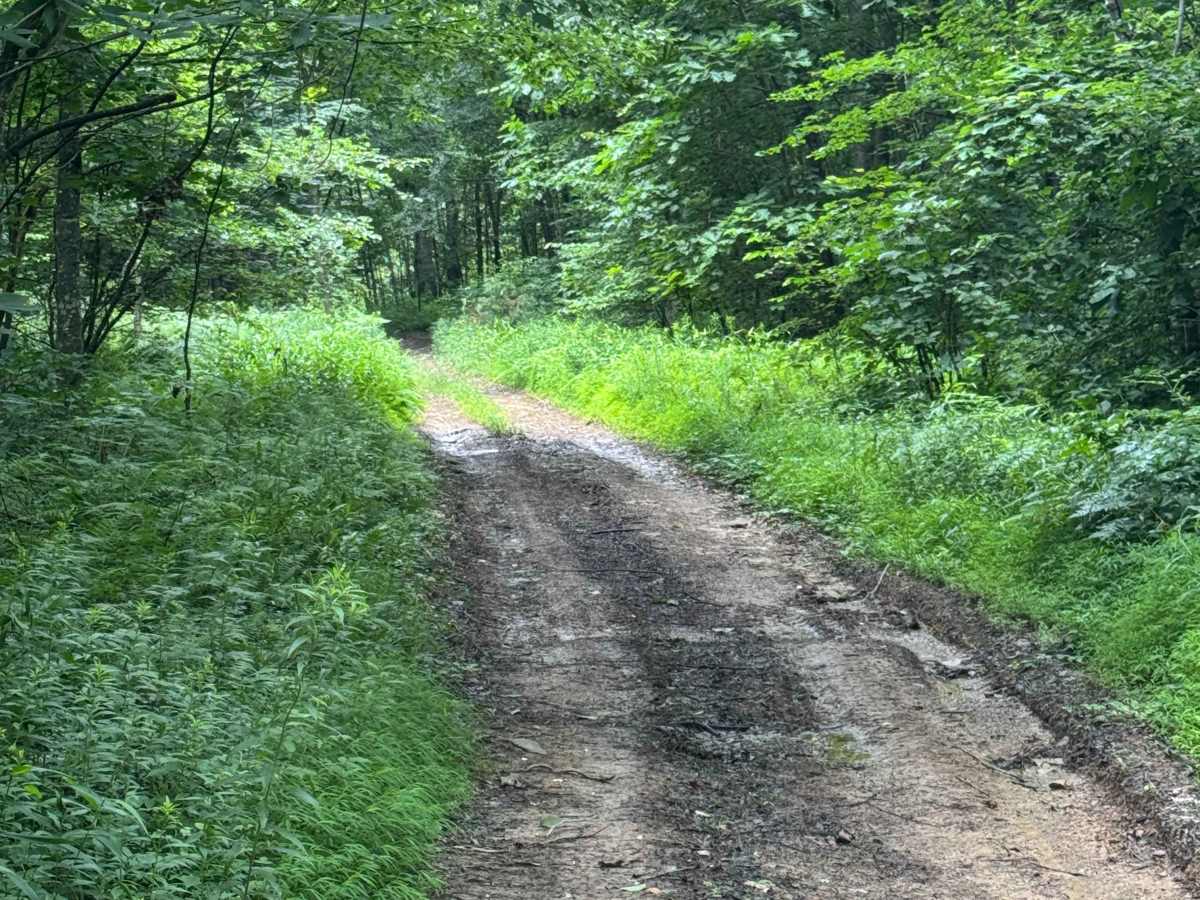 Trail 88 photo 4