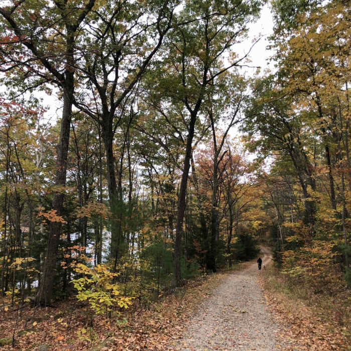 Near Tower Hill Pond Loop Trail