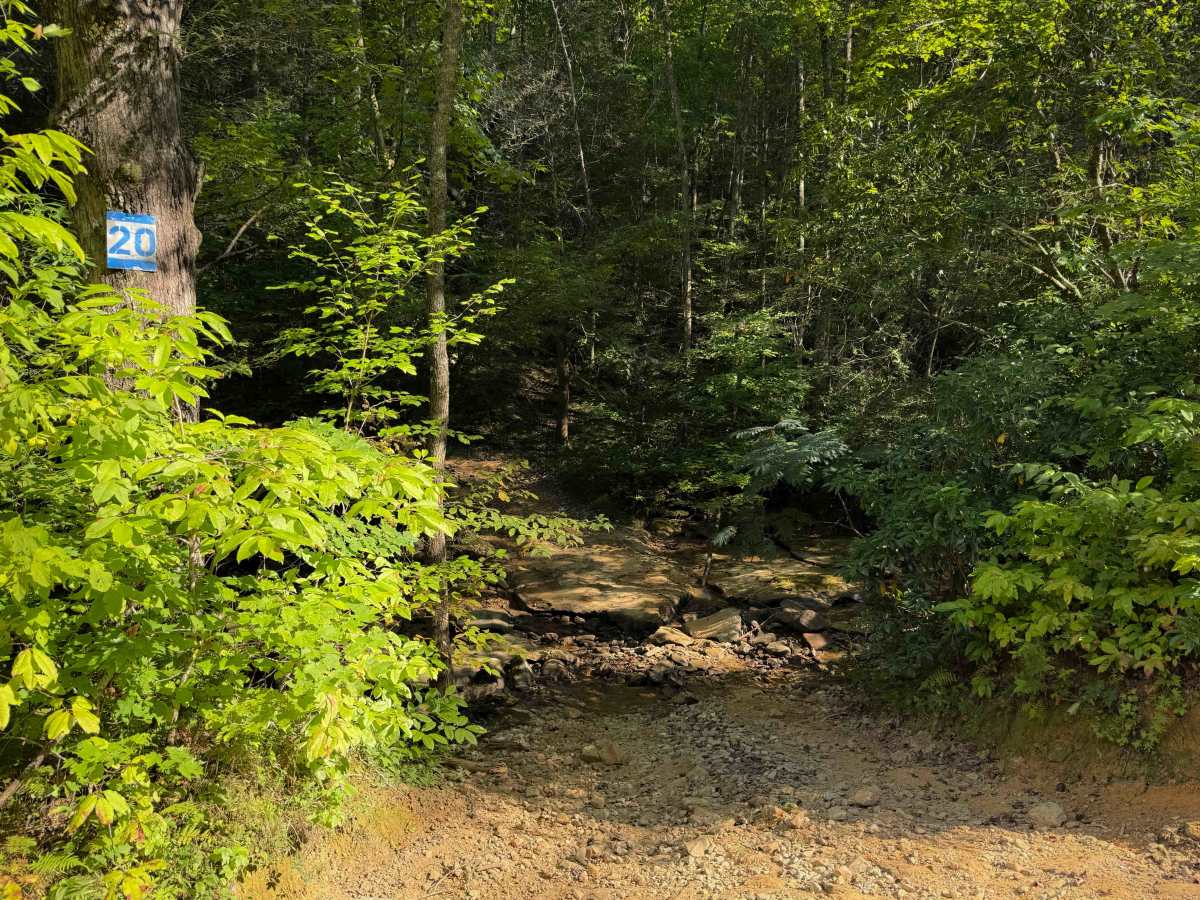 Dry Fork Trail  photo 6