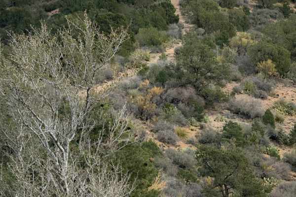 BLM Route 7188 