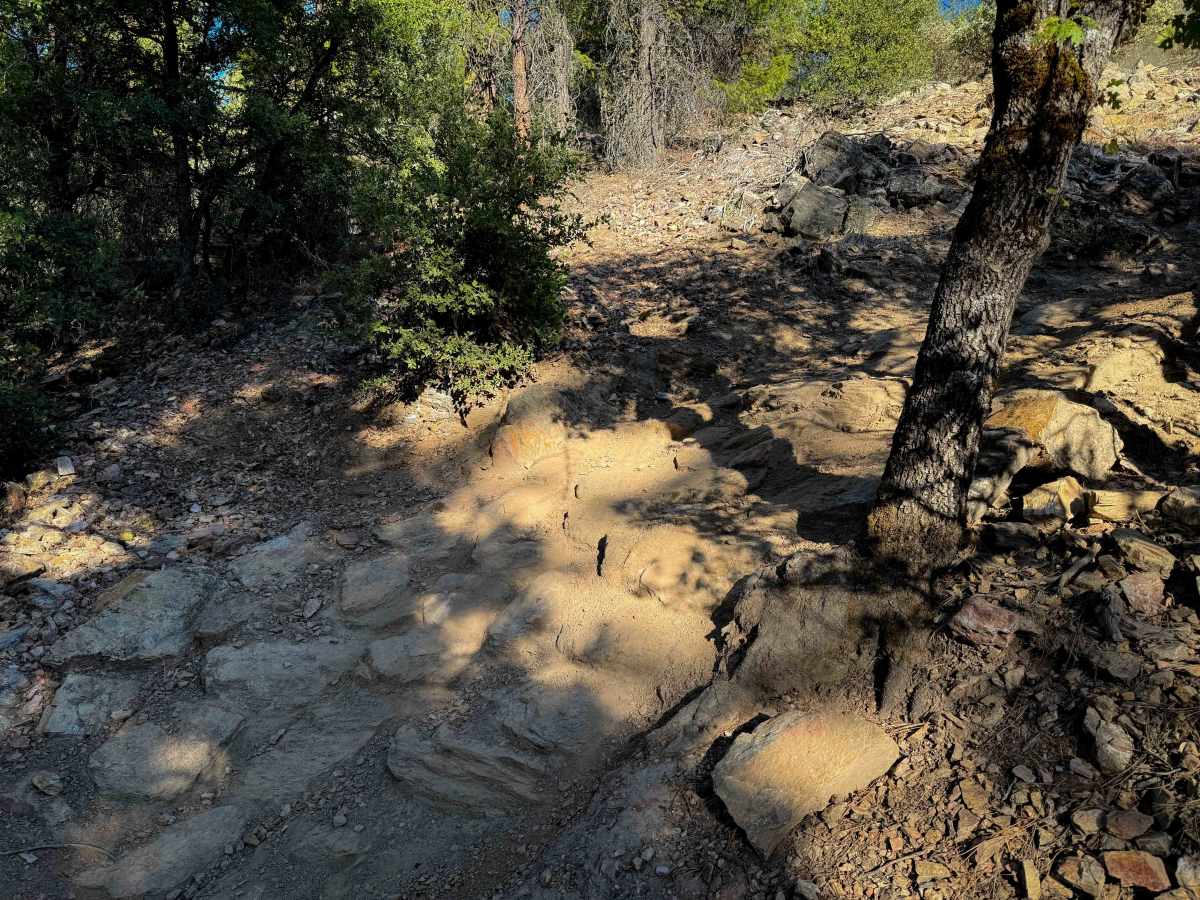 Berry Creek  photo 3