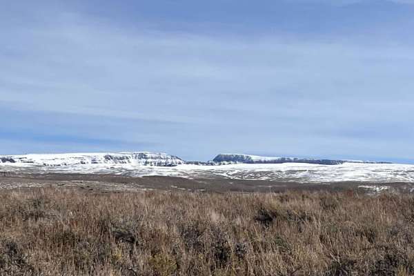Fields of Sage
