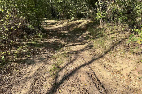 Cummins Crossing